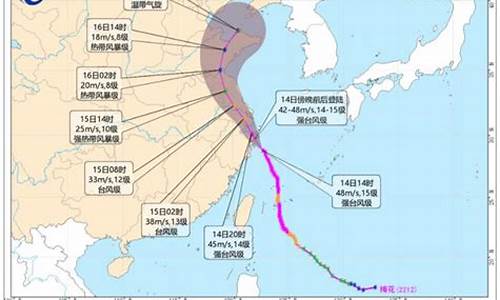 2022年6月台风最新消息_2022年6月台风