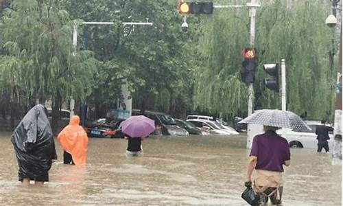 山东暴雨去哪里了_山东哪里大暴雨了