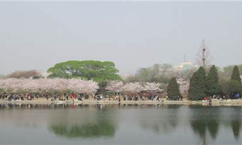 蠡县天气预报蠡县_蠡县天气预报蠡县南沙口村